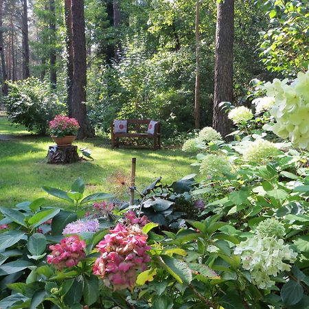 Kastavengrund - Ferienhaeuser Mit Kamin Lychen Buitenkant foto